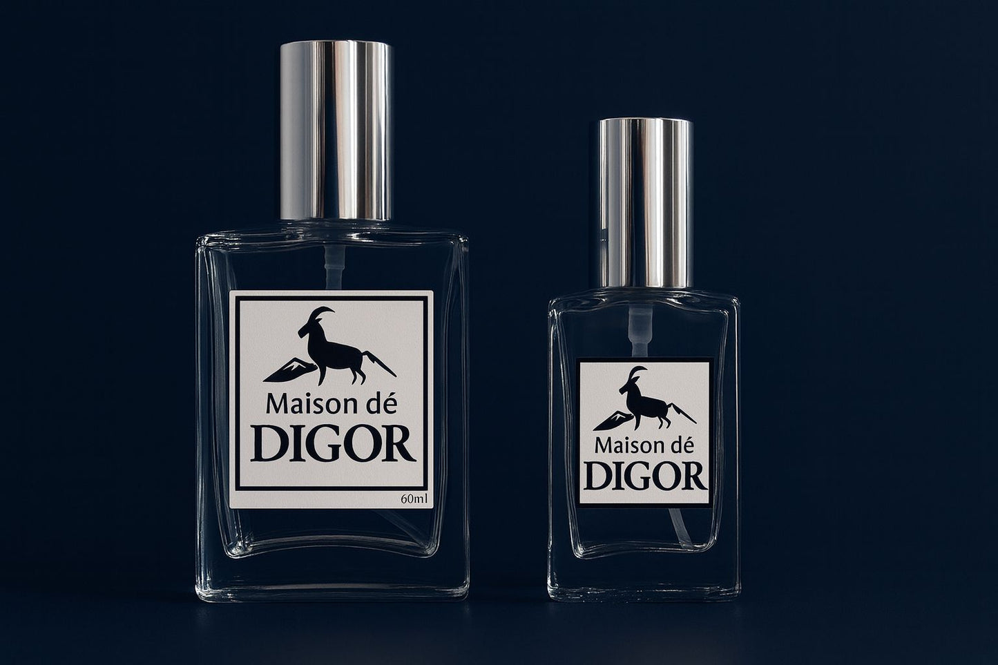 Maison de Digor - Code 101